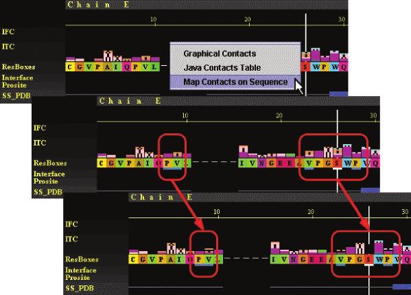 A funcionalidade Map Contacts on Sequence permite que se verifique rapidamente todos os potenciais contatos para um determinado resíduo.