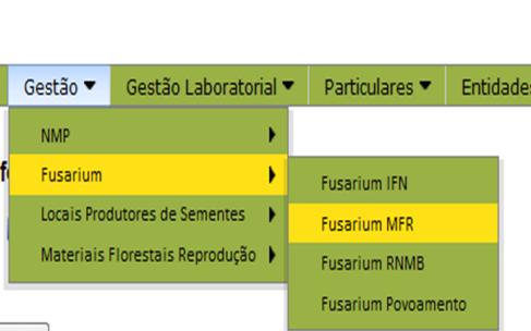 7 Procedimentos Registo de informação no FITO