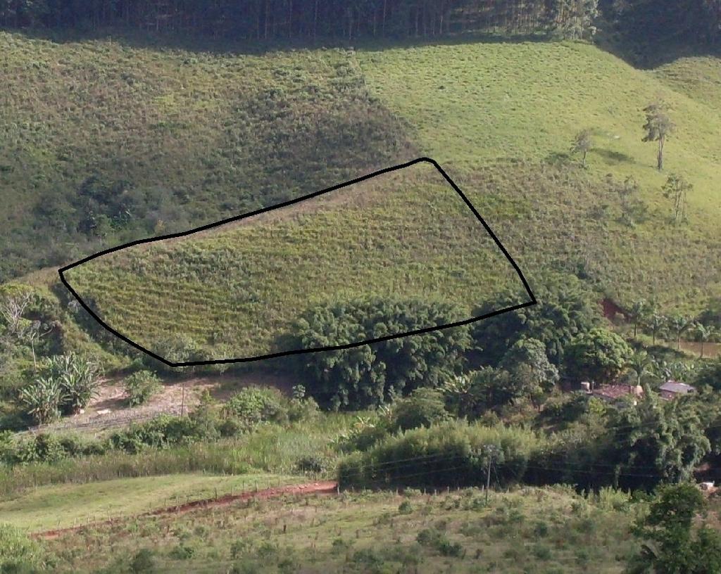 mesmo vendê-la. A plantação do eucalipto, quando manejada corretamente, pode ajudar na conservação da natureza, pois nessas condições ela convive bem com outras espécies de plantas e animais.