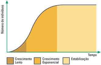 Conclui-se então que há uma densidade máxima de indivíduos, chamada capacidade de sustentação, capacidade de suporte ou carga biótica