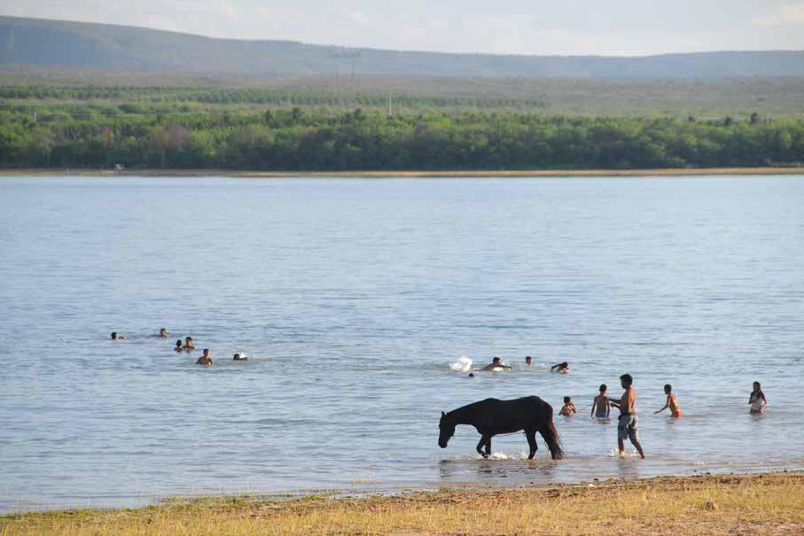 PARA QUE SERVE O MACROZEE DA BHSF? O MacroZEE BHSF possibilita um maior entendimento das dinâmicas socioeconômicas e ambientais ao longo da bacia, assim como dos principais desafios desse território.