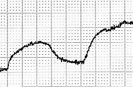 -E -E 4α-PDD 3,0 μm 4α-PDD 10 μm 4α-PDD