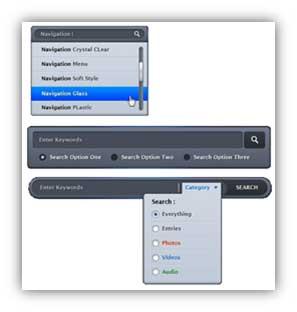 Navigational Components Search Field A search box allows users to enter a keyword or phrase (query) and submit it to search the index with the intention of getting