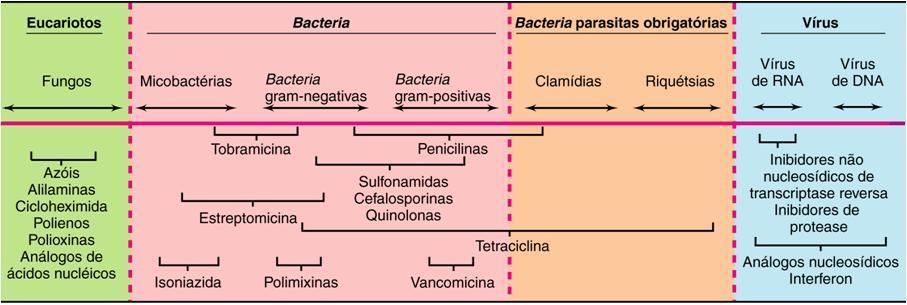 Espectro de ação do antibiótico amplo espectro: que atua tanto em gram + como em gram - pequeno espectro (ou