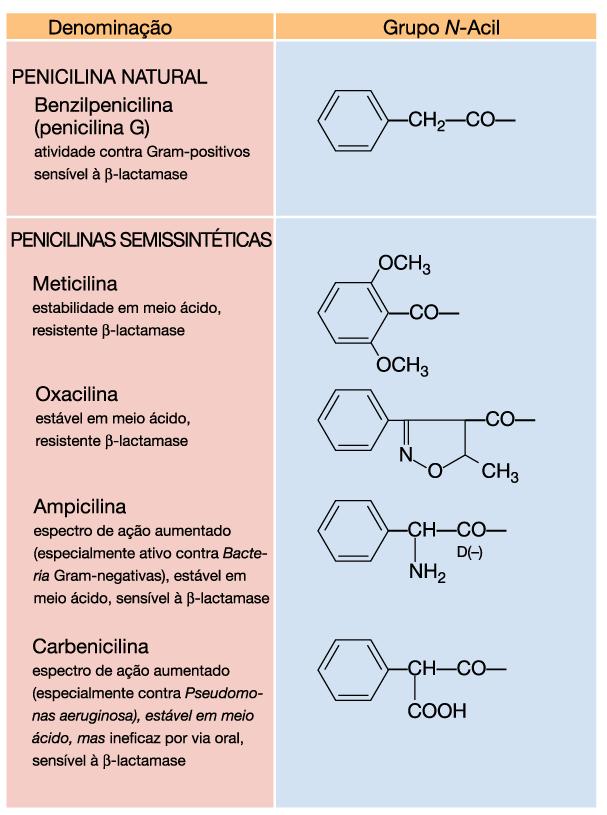Estrutura das penicilinas Seta vermelha: