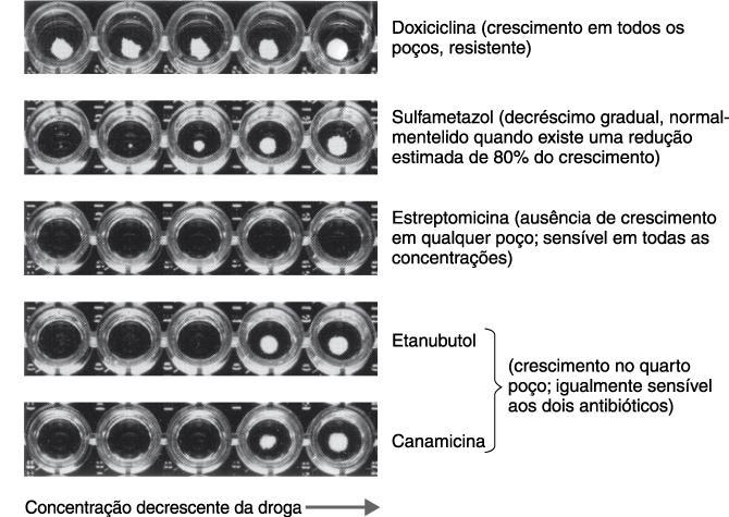 Testes de sensibilidade a antimicrobianos Teste de