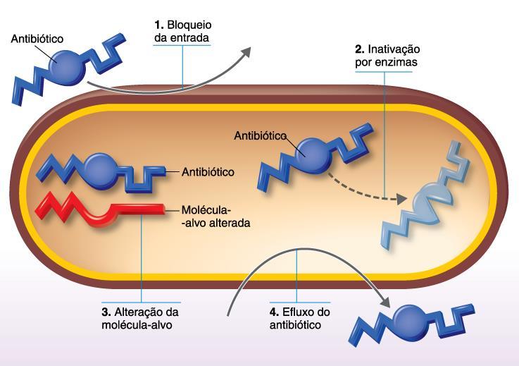 Mecanismos de resistência bacteriana