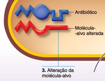 Mecanismos de resistência bacteriana aos antimicrobianos Bactéria pode modificar o sítio do ribossomo que é inativado