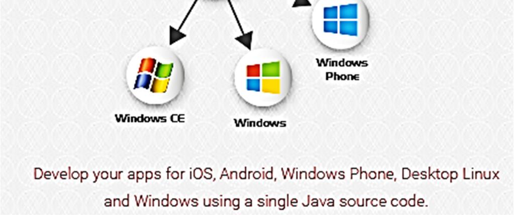 ferramenta, na qual são interpretados optcodes proprietários, ao invés dos tradicionais Java bytecodes.