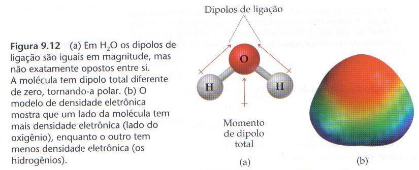 ÁGUA: uma substância única