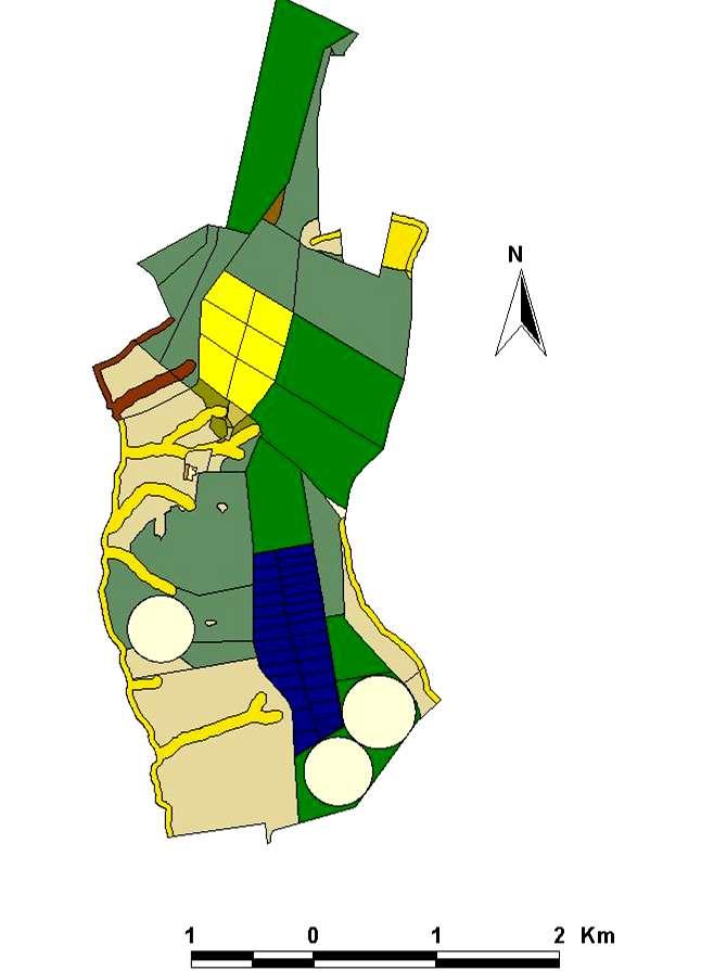 Inventariar os recursos existentes Classe Funcional Área (ha) Pivôs 201,1 Pastos intensivos de capim Tanzânia 217,9 Brachiaria brizantha extensiva em bom estado 160,8 Pastos com baixa produtividade