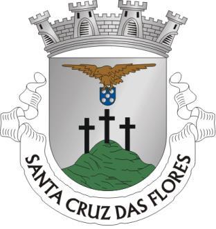 CÂMARA MUNICIPAL DE SANTA CRUZ DAS FLORES NORMAS DO PROCEDIMENTO Hasta Pública para