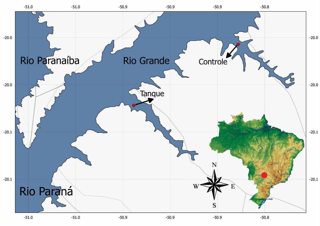 Figura 1. Mapa do reservatório de Ilha Solteira, com indicação das áreas amostrais do presente estudo. 3.2. Coleta de material biológico (peixes silvestres) Os exemplares da especie R.