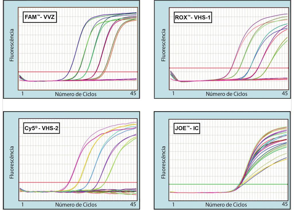 Figura 1: Séries de diluições do ADN específico do VVZ, VHS-1 e VHS-2, variando entre 1 cópia/µl e 1,00E+04 cópias/µl. As amostras foram analisadas utilizando o RealStar alpha Herpesvirus PCR Kit 1.