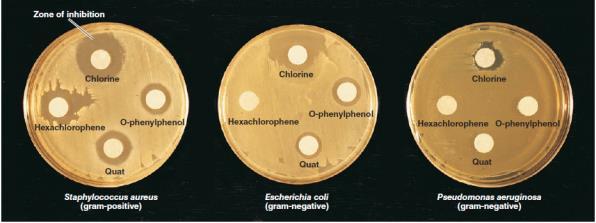 Desinfetantes e esterilizantes Álcool (etanol ou isopropanol 60-85%) Desinfetante e Solvente de lipídeos e esterilizantes instrumentos desnaturante proteínas médicos, superfícies Glutaraldeído