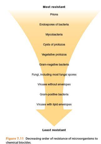 (Cys, D, E, S, Y) são trocados por grupos alquilas (-CH 3 ) Agentes Oxidantes - Peróxidos Agentes Oxidantes: