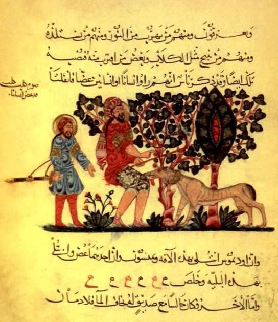 Man Bitten by Mad Dog. Illustration from an Arabic translation of the Materia Medica, Baghdad, Iraq, 1224.