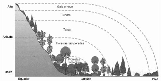 e) intensa umidade relativa do ar. 03- Observe a figura abaixo. Utilizando seus conhecimentos e as informações da figura, assinale a alternativa CORRETA.