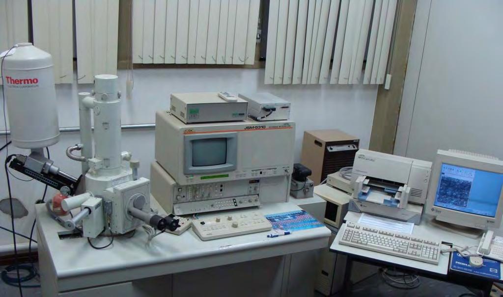 64 Algumas amostras de cada grupo experimental foram selecionadas e analisadas em microscópio eletrônico de varredura (Jeol-JSM-5310, Jeol, Japão) com aumentos de 75x a 5.