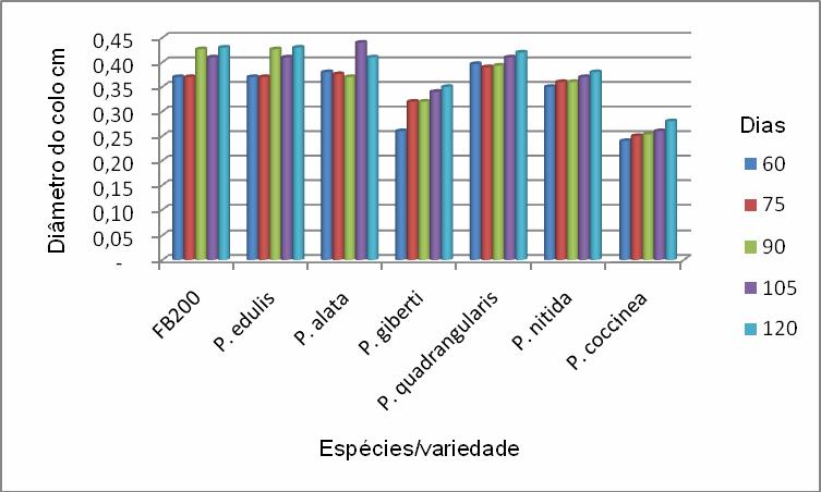 giberti apresentaram valores intermediários, e os porta-enxertos P. alata, P. nitida e P. coccinea induziram o menor desenvolvimento das mudas em altura.