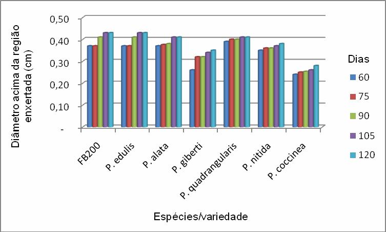 Este resultado também foi observado por Nogueira Filho (2005), que relacionou a compatibilidade do diâmetro do porta enxerto/enxerto com o pegamento e desenvolvimento da muda.