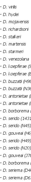 RESULTADOS O monofiletismo do complexo D. buzzatii (BP = 84%), que foi divido em dois grandes clados, um agrupando os clusters D. stalkeri e D.