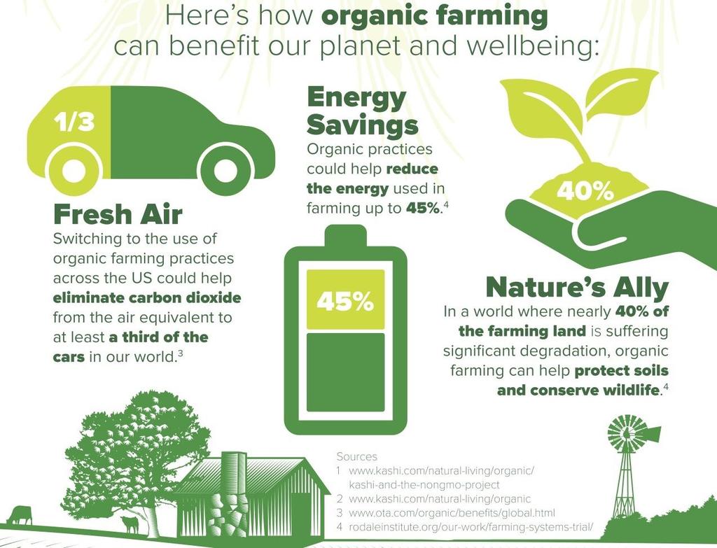 Os países precisam priorizar a agricultura e o cultivo de