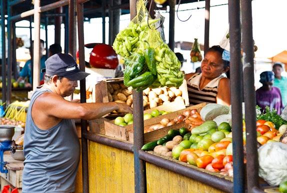 Compras públicas da agricultura familiar As compras dos produtores familiares são uma forma de dinamização da economia local, além disso, na outra ponta, atendem às demandas por alimento nos