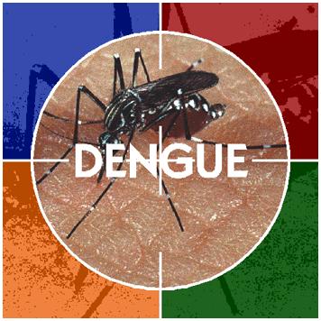 Vírus da DENGUE Família Flaviviridae, Gênero Flavivirus É um arbovirus transmitido por mosquitos Causa doença infecciosa aguda febril de evolução benigna na forma clássica Dengue Clássico Pode