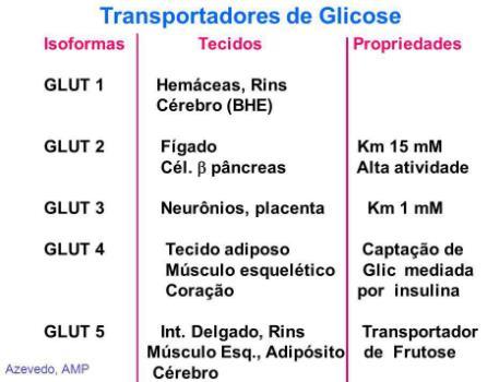 Identificadas, até o momento, 14 proteínas