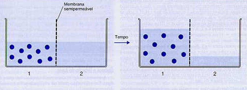 partir de um compartimento em que a concentração de