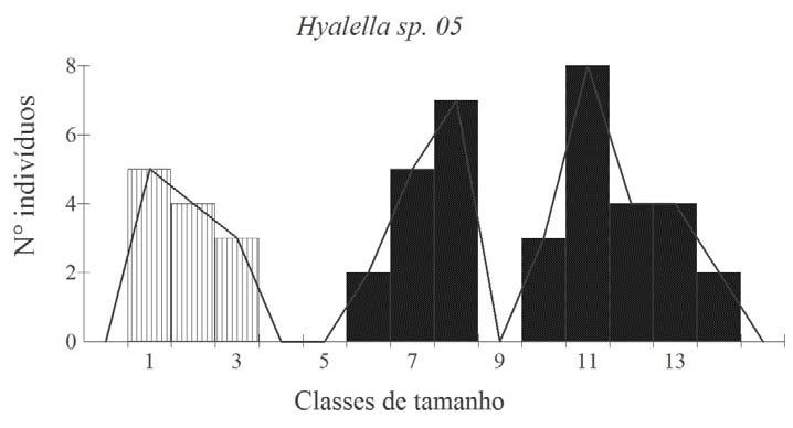 Gráfico 11: Distribuição por classes de tamanho de Hyalella sp. 05. Colunas listradas e pretas indicam juvenis e adultos respectivamente.