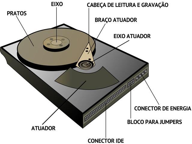 Partes do