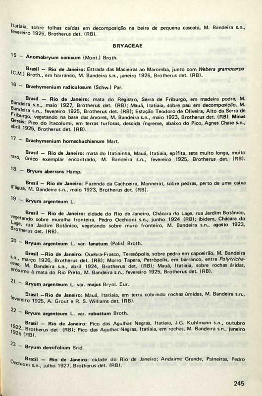 atiaia, sobre folhas caídas em decomposição na beira de pequena cascata, M. Bandeira s.n., fevereiro 1925, Brotherus det. <RB). - Anomobryum conicum (Mont.) Broth.