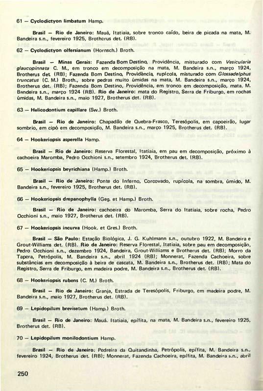 61 Cyclodictyon limbatum Hamp. Brasil Rio de Janeiro: Mauá, Itatiaia, sobre tronco caído, beira de picada na mata, M. Bandeira s.n., fevereiro 1925, Brotherus det. (RB).