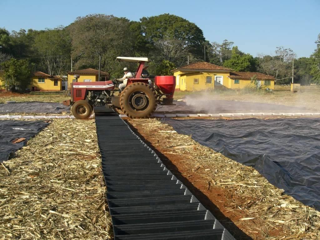 5.0 DESEMPENHO DA APLICAÇÃO Montagem coletores: 100 coletores de 0,25x 1,0 m = 25 m Perfil Longitudinal Perfil Transversal AVALIAÇÃO TAXA DE APLICAÇÃO MÉDIA