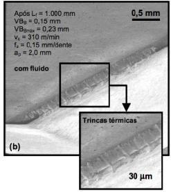 Várias trincas podem surgir perpendiculares ao gume; Cortes interrompidos,