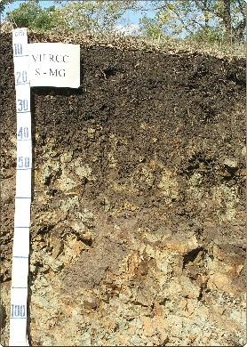 profundidade, com ocorrência de minerais primários); Flúvicos (derivados de sedimentos aluviais) e Quartzarênicos (solos arenosos, de textura areia ou areia franca) (Figura 15). Figura 15.