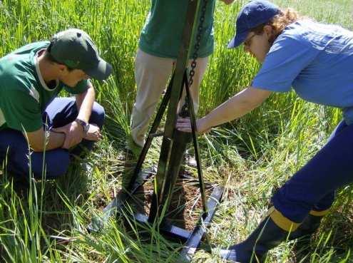 Soil organic carbon stocks on subtropical agricultural land as affected by land use,