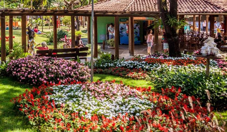 Orquídeas Mais de 4 mil pessoas visitaram a 21ª Exposição Estadual de Primavera de