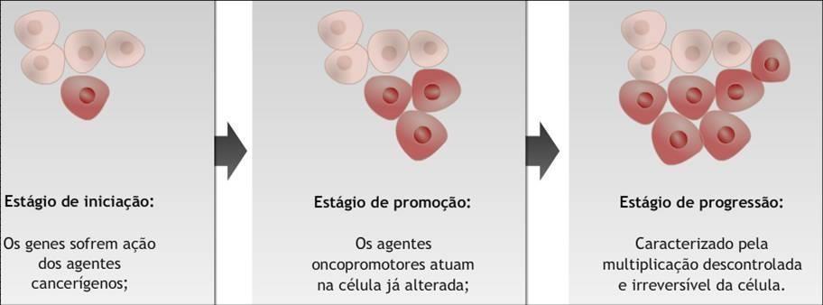 15 Figura 2: Carcinogênese Fonte: http://www1.inca.gov.br/conteudo_view.asp?