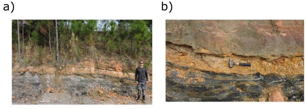 Figura 3 Imagem do a) afloramento PST e das b) três fácies estratigráficas.