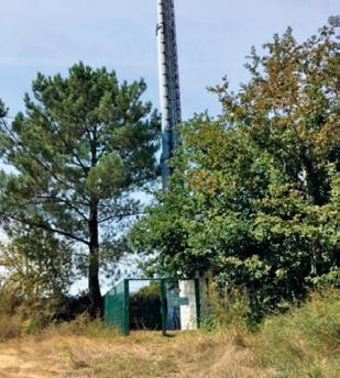 Em comum, verificou-se que o espaço envolvente às estações de radiocomunicações correspondia, em geral, a zonas de mato ou floresta, formadas sobretudo por eucaliptos, pinheiros e vegetação rasteira,