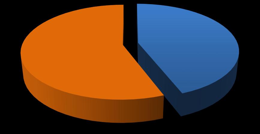 17- Gênero 44% 56% Masculino Feminino 56% de quem presenteará é do sexo feminino.