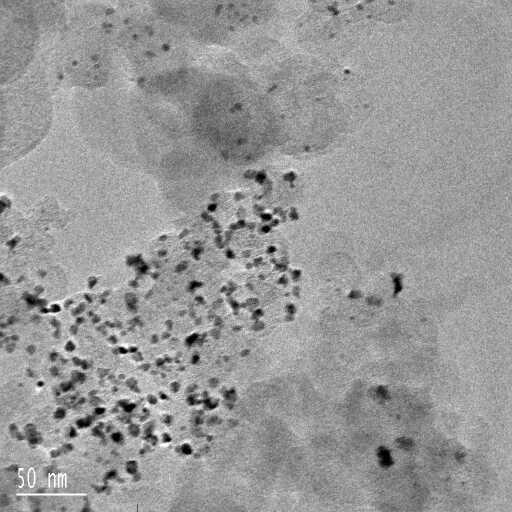 Foram obtidas micrografias para os catalisadores Pt 75 Co 25 /C (MI), Pt 85 Co 15 /C (MB) e Pt/C (E-TEK) numa magnificação de 50 e 150 kx,