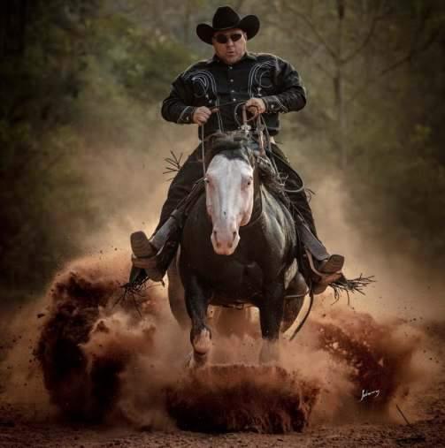 3 lugar 31º Show O cial AQHA 2014 Rédeas Aberta. 6 lugar Super Stakes ANCR 2014 Rédeas Aberta. Seu pai SPOOKS GO A GUN, Ganhador de U$81.638,00 em Rédeas.