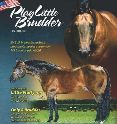 Pai de: - STYLISH REY GAY, $52,501: 2004 NRCHA Limited Non-Pro Futurity Champion - PLAYIN PLAYGUN, $51,280 - SUES STYLISH BABE, R$7.207,95 ANCA. 62,5 pts ABQM.