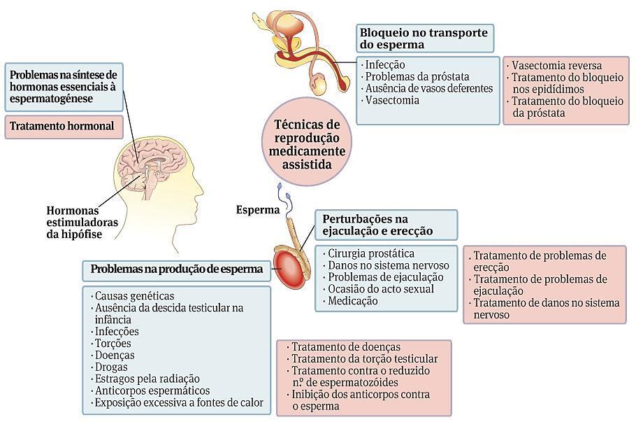 Manipulação da fertilidade Reprodução tecnicamente assistida