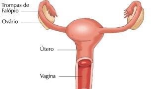dos principais factores de infertilidade.