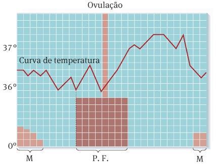 O muco é mais elástico no período fértil para facilitar a movimentação dos